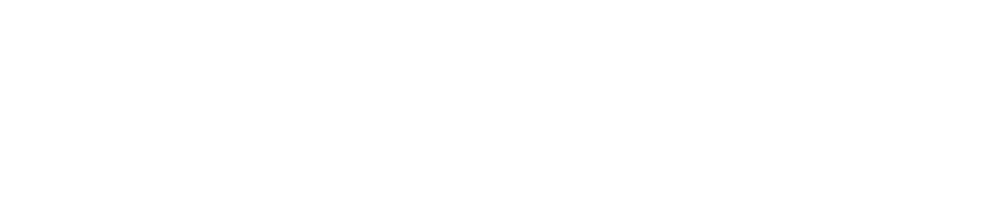 TopMensura